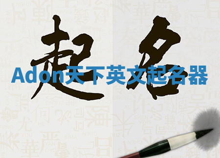 Adon天下英文起名器