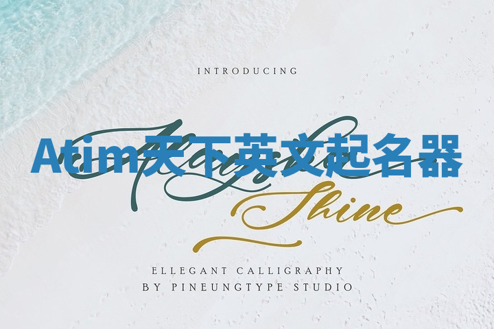 Atim天下英文起名器