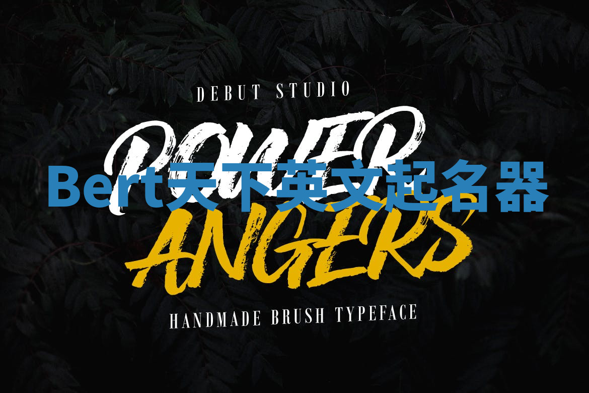 Bert天下英文起名器 Bert天下英文起名器