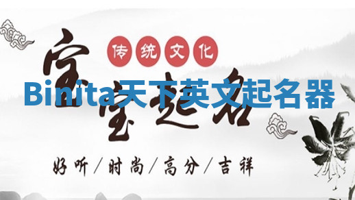 Binita天下英文起名器