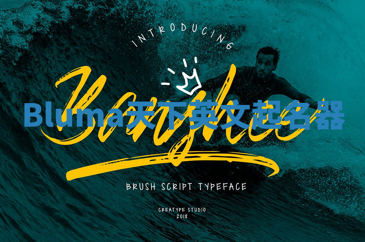 Bluma天下英文起名器