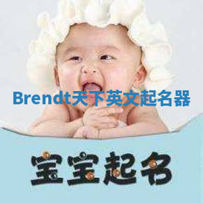 Brendt天下英文起名器