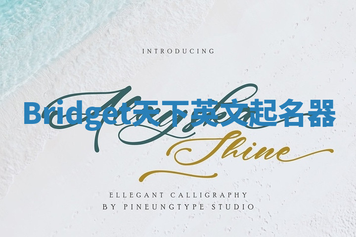Bridget天下英文起名器