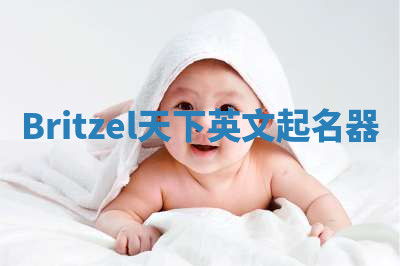 Britzel天下英文起名器 Britzel天下英文起名器