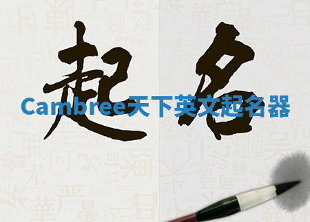Cambree天下英文起名器