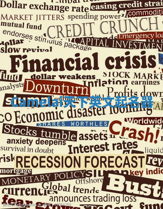 Camelai天下英文起名器 Camelai天下英文起名器