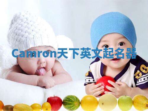Camron天下英文起名器 Camron天下英文起名器