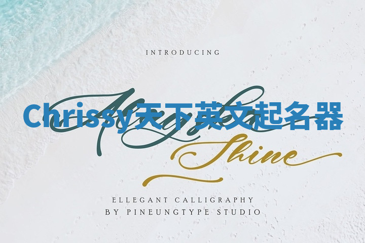 Chrissy天下英文起名器 Chrissy天下英文起名器