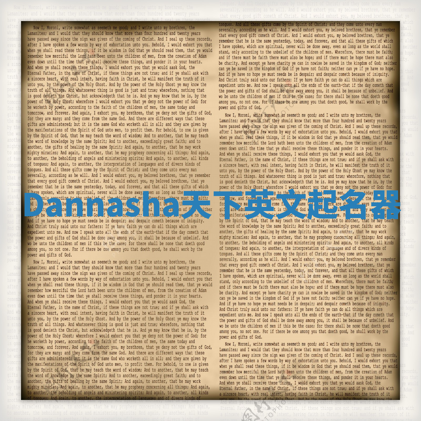 Dannasha天下英文起名器