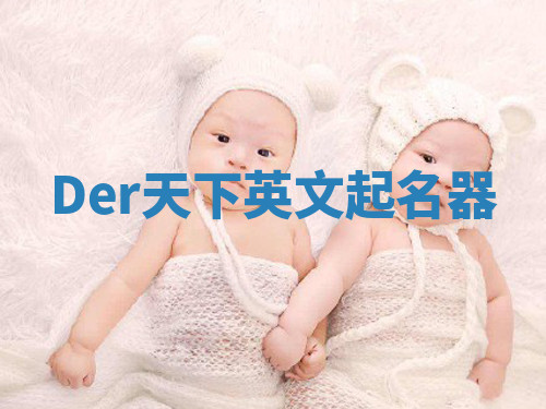 Der天下英文起名器