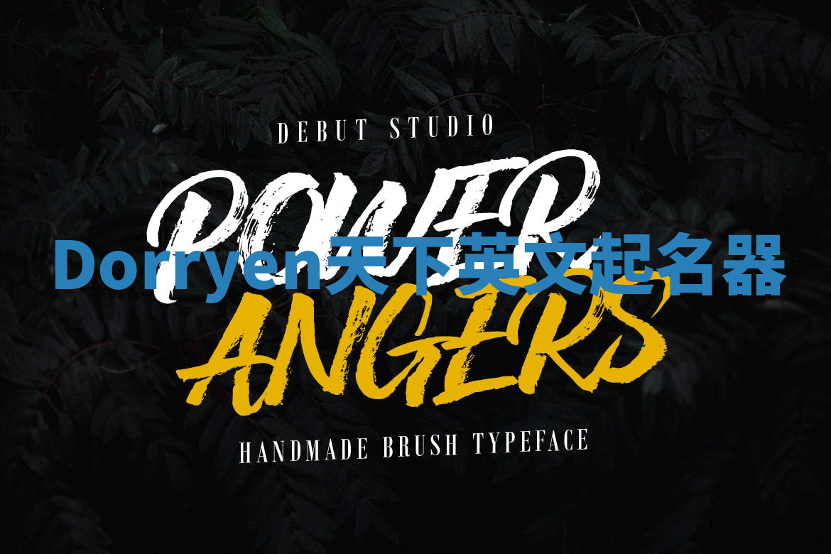 Dorryen天下英文起名器 Dorryen天下英文起名器