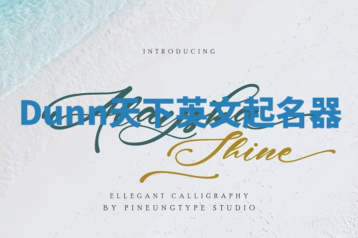 Dunn天下英文起名器 Dunn天下英文起名器