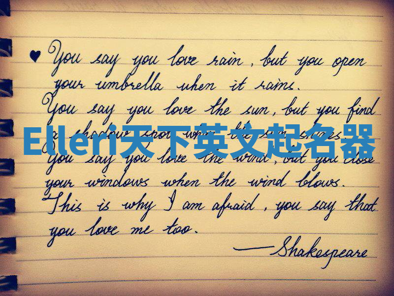 Elleri天下英文起名器