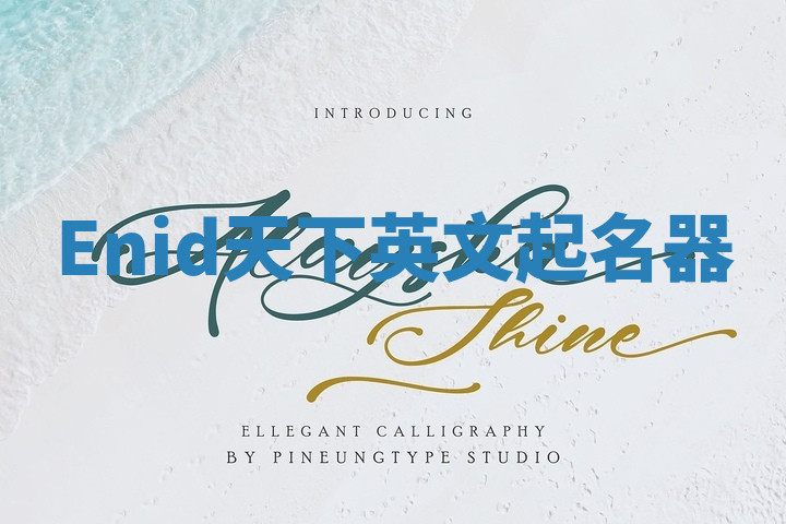 Enid天下英文起名器