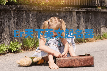 Er天下英文起名器 Er天下英文起名器