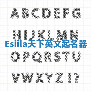 Esiila天下英文起名器