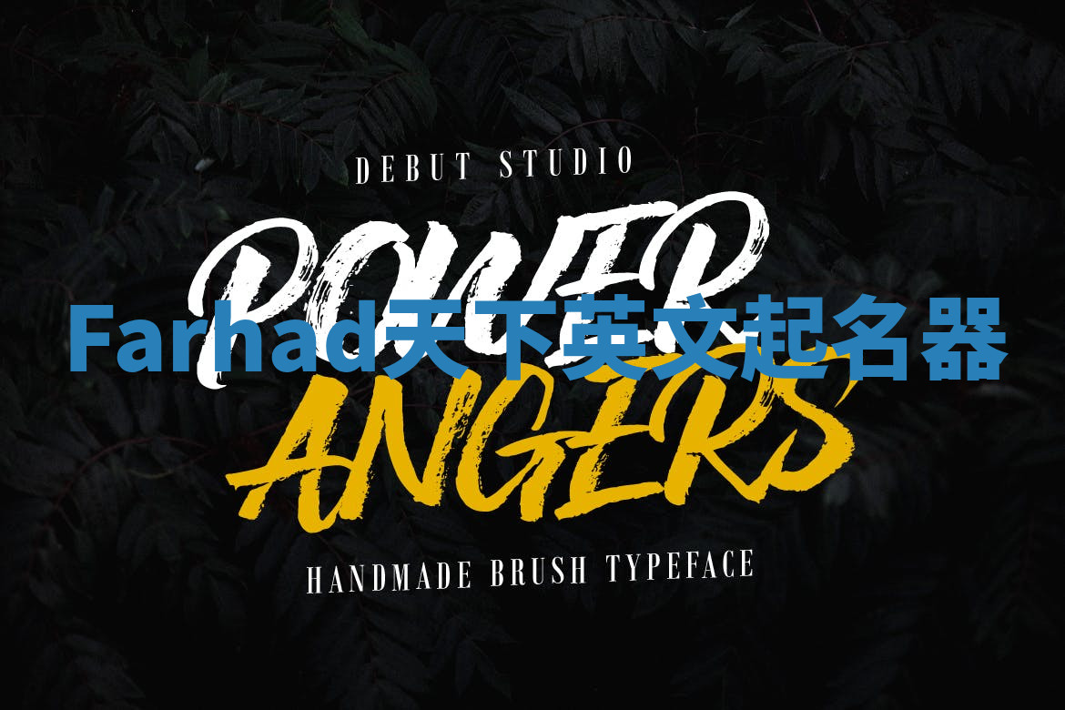 Farhad天下英文起名器 Farhad天下英文起名器