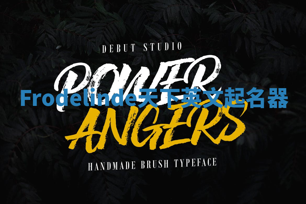 Frodelinde天下英文起名器 Frodelinde天下英文起名器