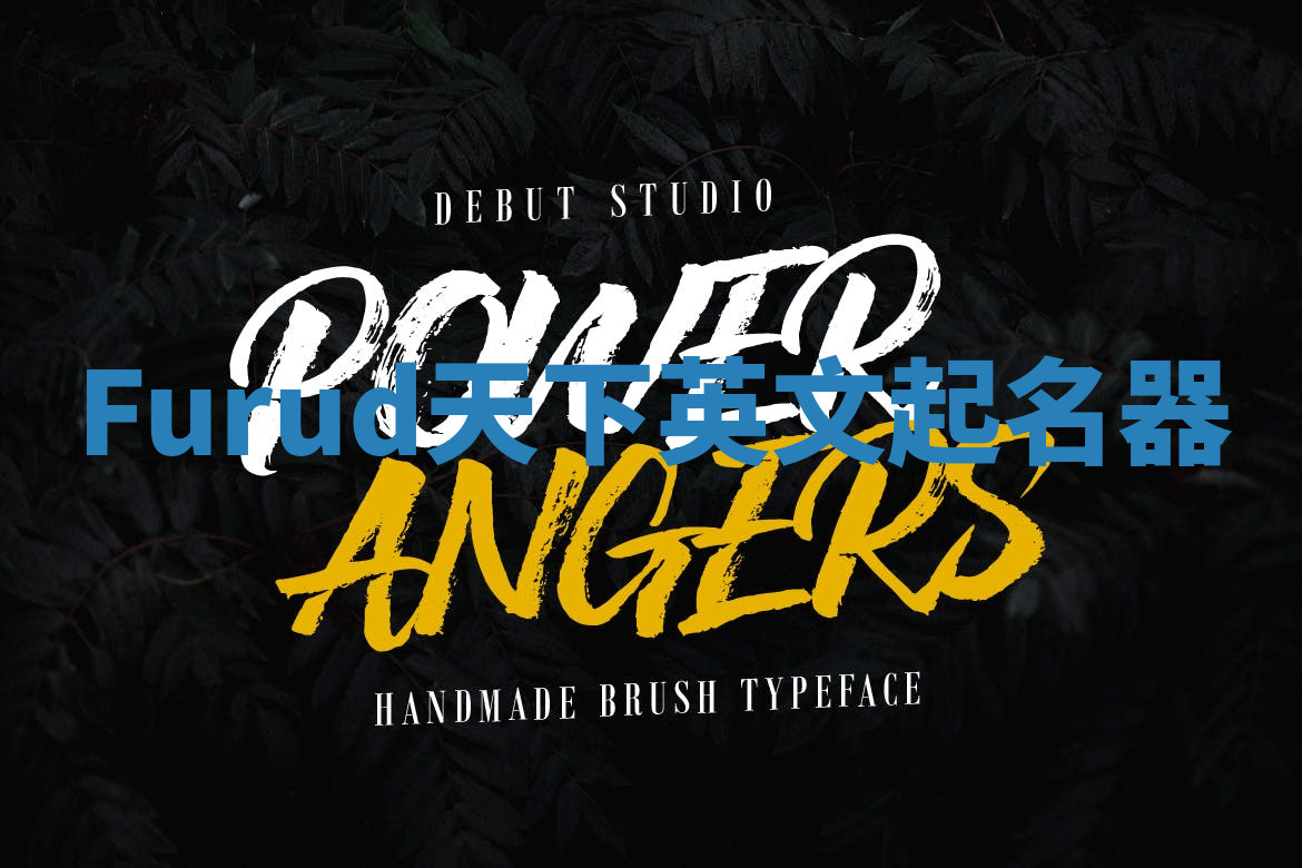 Furud天下英文起名器