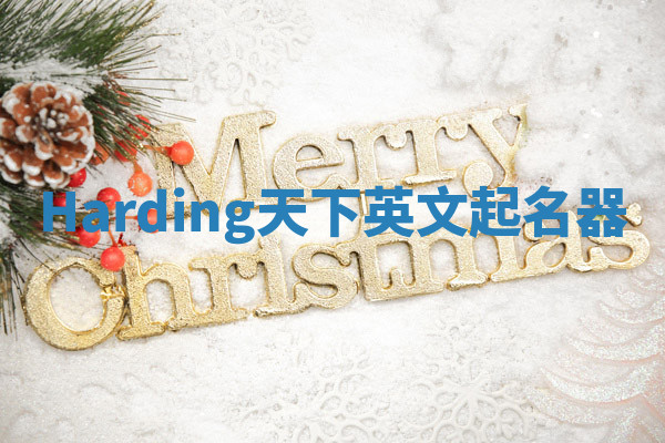 Harding天下英文起名器 Harding天下英文起名器