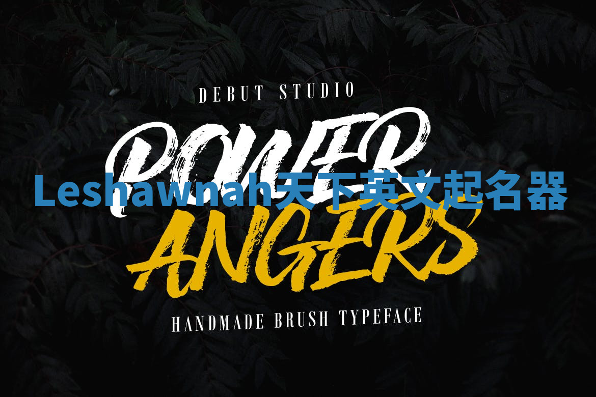 Leshawnah天下英文起名器