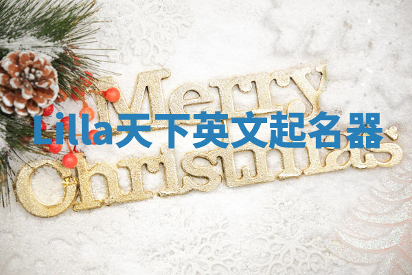 Lilla天下英文起名器 Lilla天下英文起名器