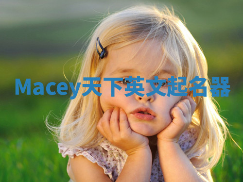 Macey天下英文起名器