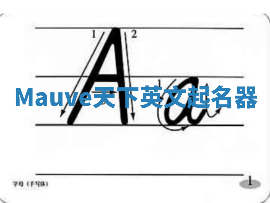 Mauve天下英文起名器