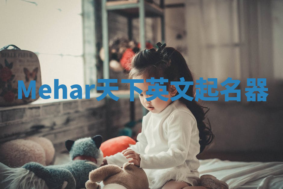 Mehar天下英文起名器