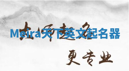Meira天下英文起名器