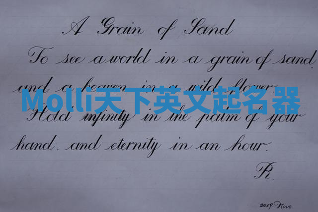 Molli天下英文起名器