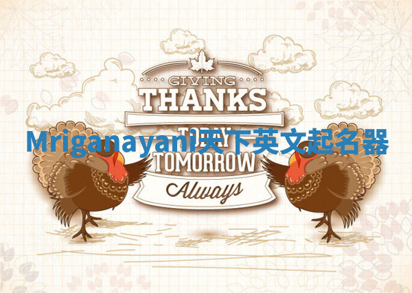 Mriganayani天下英文起名器