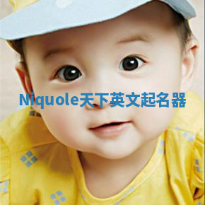 Niquole天下英文起名器 Niquole天下英文起名器