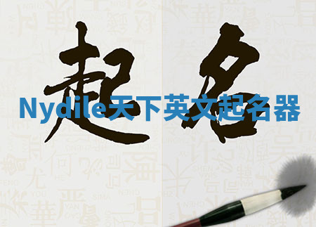 Nydile天下英文起名器 Nydile天下英文起名器