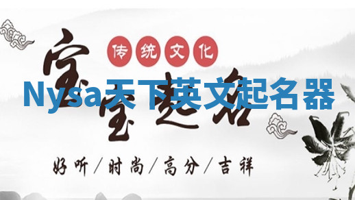 Nysa天下英文起名器