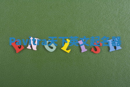 Pavitra天下英文起名器