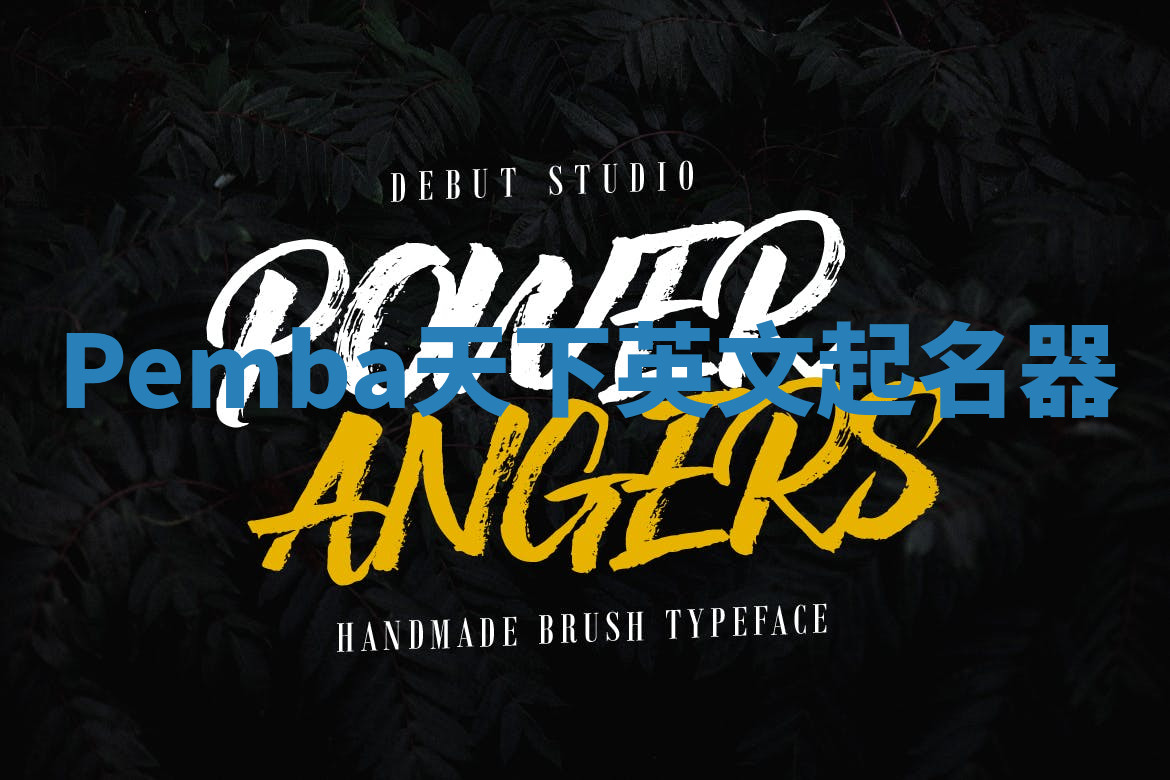 Pemba天下英文起名器