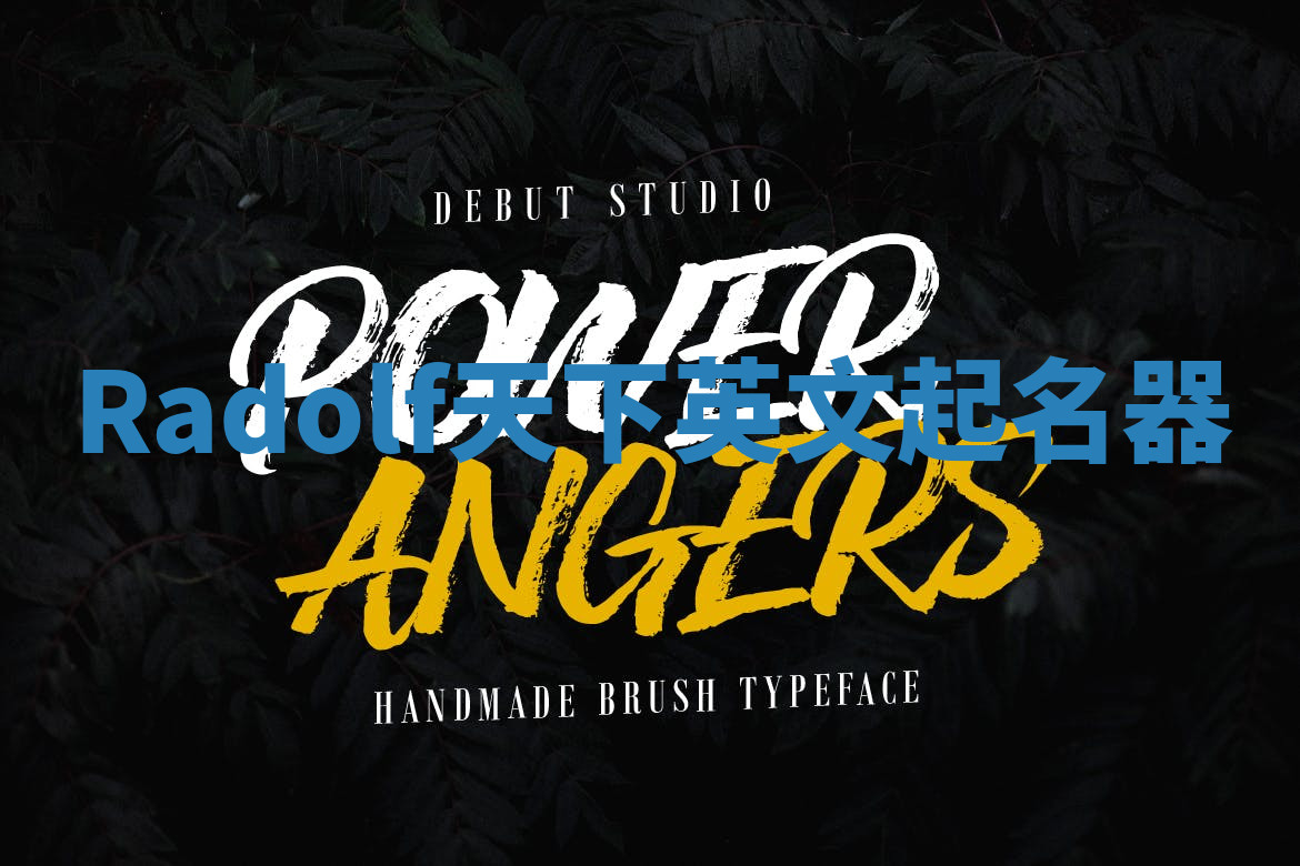 Radolf天下英文起名器 Radolf天下英文起名器