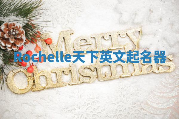 Rochelle天下英文起名器 Rochelle天下英文起名器