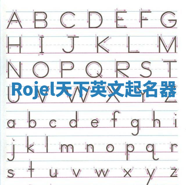 Rojel天下英文起名器