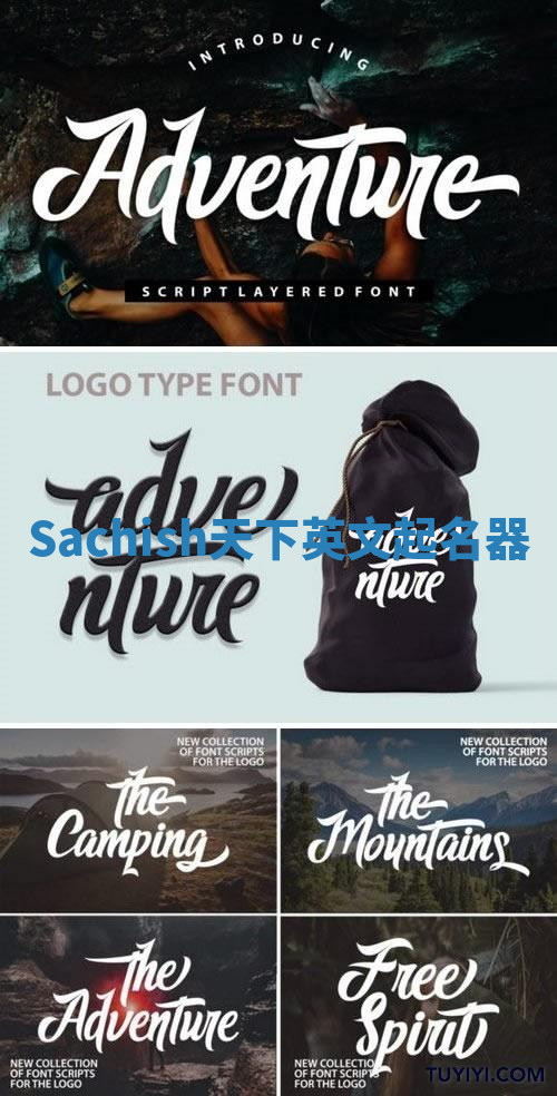 Sachish天下英文起名器