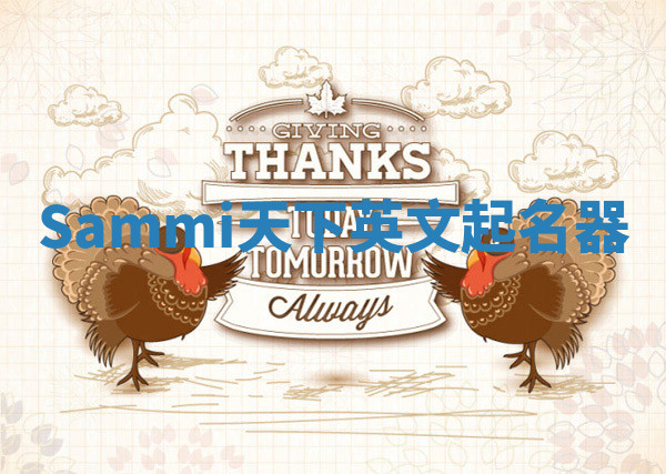Sammi天下英文起名器 Sammi天下英文起名器