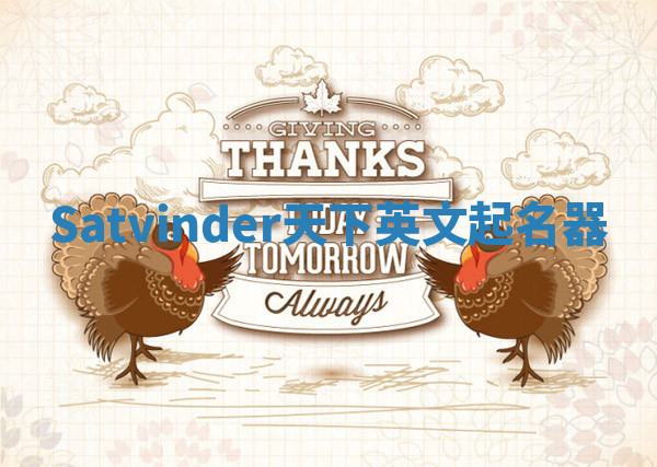 Satvinder天下英文起名器 Satvinder天下英文起名器
