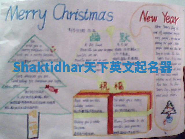 Shaktidhar天下英文起名器