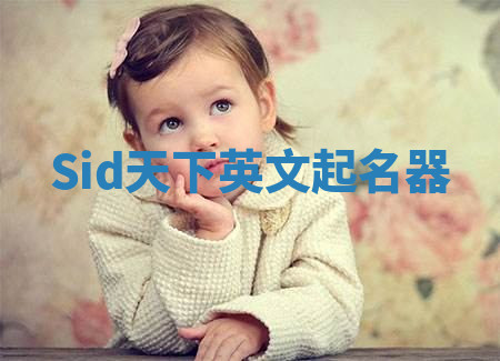 Sid天下英文起名器 Sid天下英文起名器