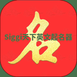 Siggi天下英文起名器
