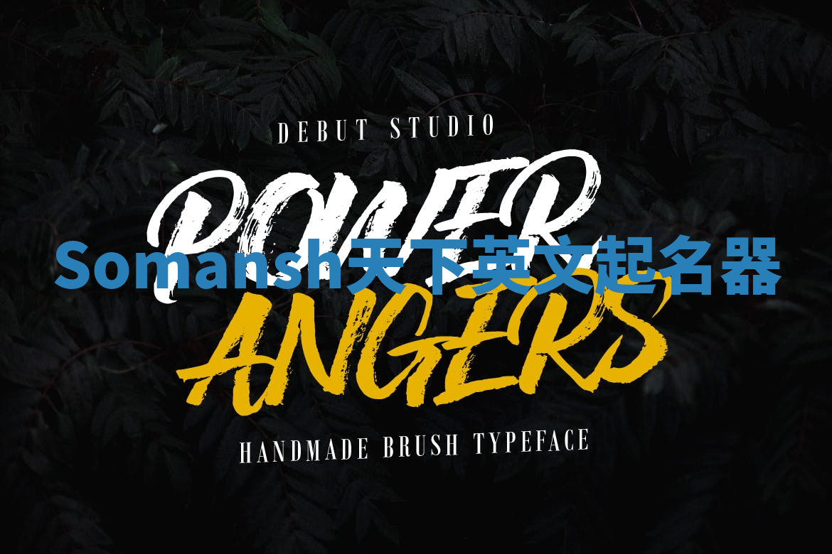 Somansh天下英文起名器 Somansh天下英文起名器