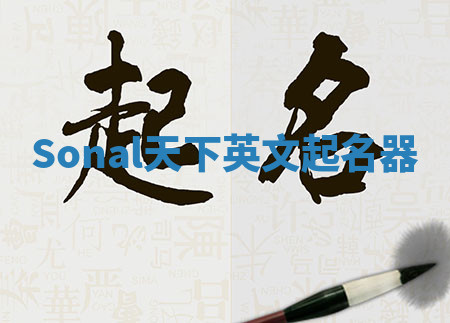 Sonal天下英文起名器