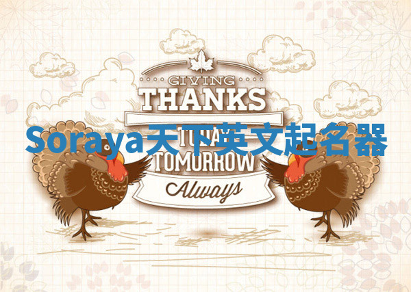 Soraya天下英文起名器