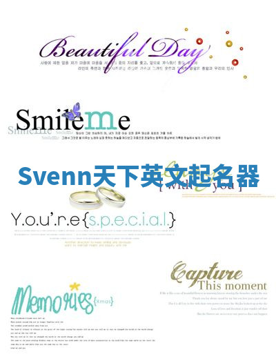 Svenn天下英文起名器